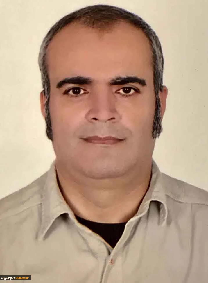 حسین زارعی